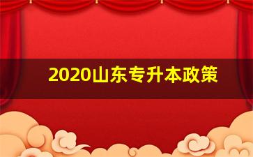 2020山东专升本政策