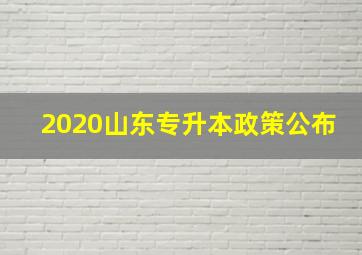 2020山东专升本政策公布