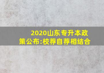 2020山东专升本政策公布:校荐自荐相结合