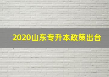 2020山东专升本政策出台