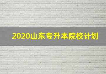 2020山东专升本院校计划