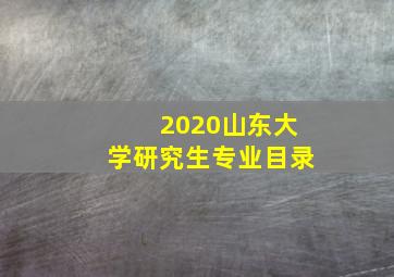 2020山东大学研究生专业目录