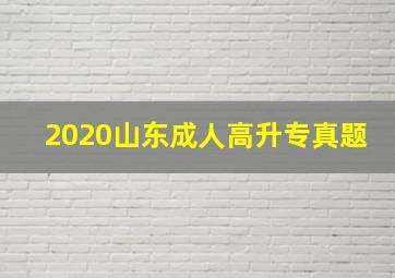 2020山东成人高升专真题