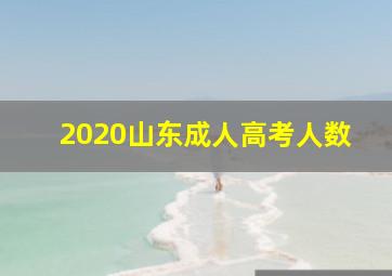 2020山东成人高考人数