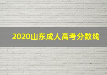 2020山东成人高考分数线