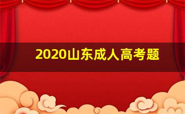 2020山东成人高考题