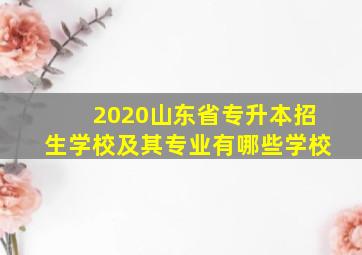 2020山东省专升本招生学校及其专业有哪些学校