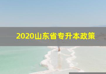 2020山东省专升本政策