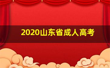 2020山东省成人高考