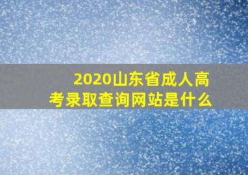 2020山东省成人高考录取查询网站是什么