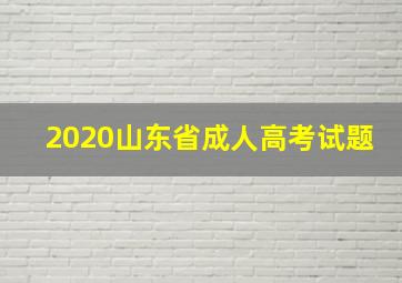 2020山东省成人高考试题