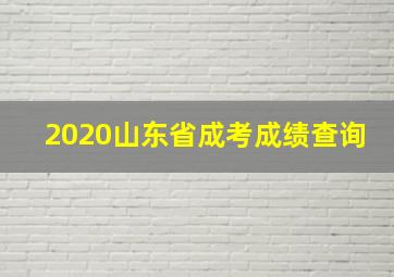 2020山东省成考成绩查询