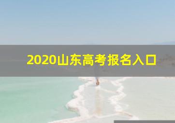 2020山东高考报名入口