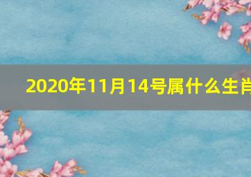 2020年11月14号属什么生肖