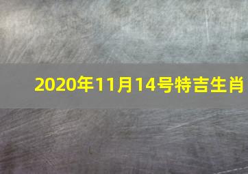 2020年11月14号特吉生肖