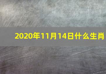 2020年11月14日什么生肖