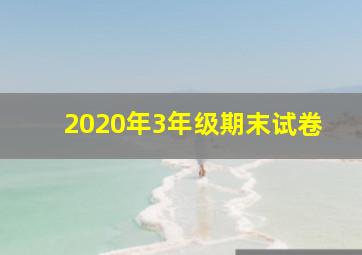 2020年3年级期末试卷