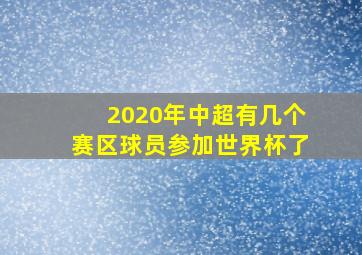 2020年中超有几个赛区球员参加世界杯了