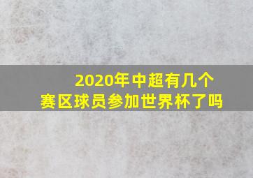 2020年中超有几个赛区球员参加世界杯了吗