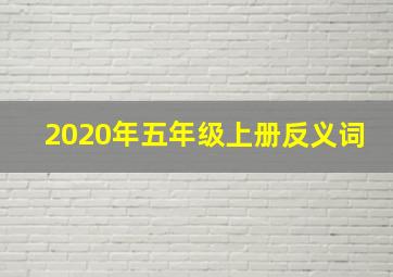 2020年五年级上册反义词