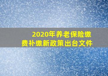 2020年养老保险缴费补缴新政策出台文件