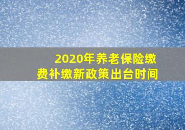 2020年养老保险缴费补缴新政策出台时间