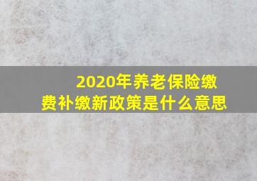 2020年养老保险缴费补缴新政策是什么意思