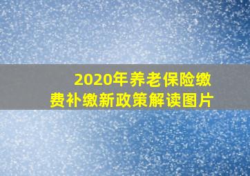 2020年养老保险缴费补缴新政策解读图片