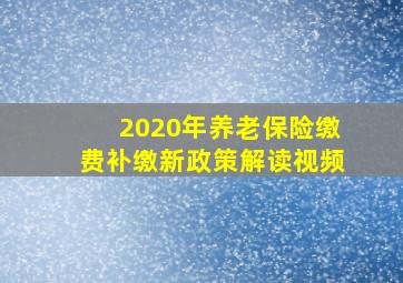 2020年养老保险缴费补缴新政策解读视频