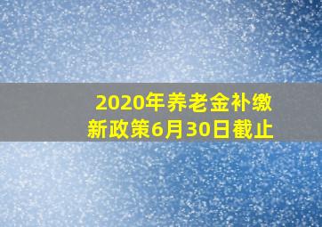 2020年养老金补缴新政策6月30日截止