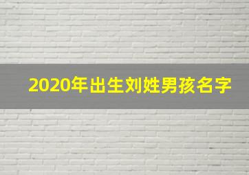 2020年出生刘姓男孩名字