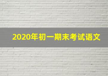 2020年初一期末考试语文