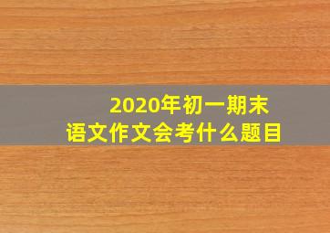 2020年初一期末语文作文会考什么题目