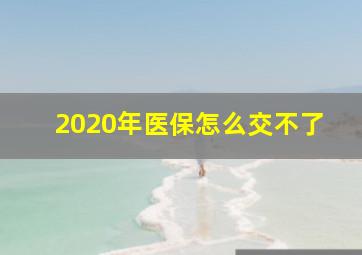 2020年医保怎么交不了