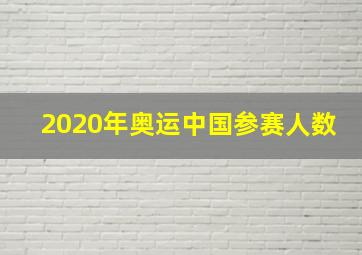 2020年奥运中国参赛人数