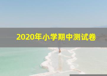 2020年小学期中测试卷