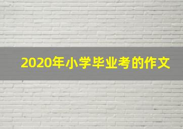 2020年小学毕业考的作文