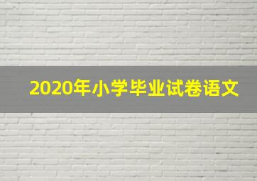 2020年小学毕业试卷语文