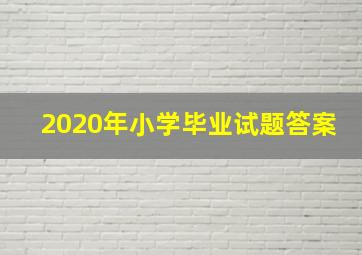 2020年小学毕业试题答案