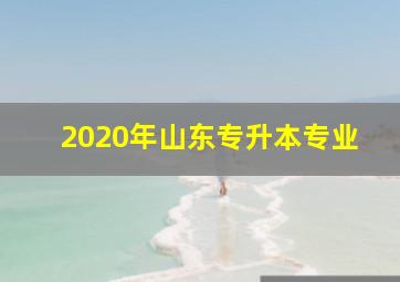 2020年山东专升本专业