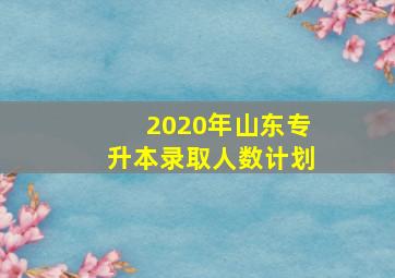 2020年山东专升本录取人数计划