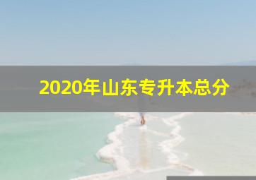 2020年山东专升本总分