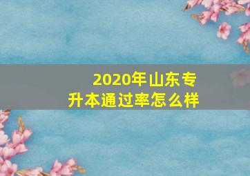 2020年山东专升本通过率怎么样