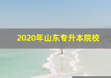 2020年山东专升本院校