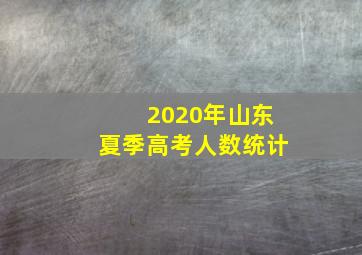 2020年山东夏季高考人数统计