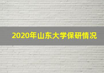 2020年山东大学保研情况