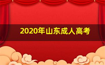 2020年山东成人高考