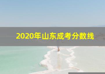 2020年山东成考分数线