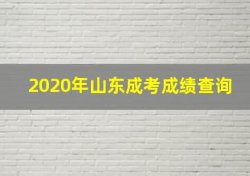 2020年山东成考成绩查询