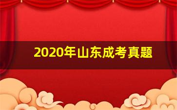 2020年山东成考真题